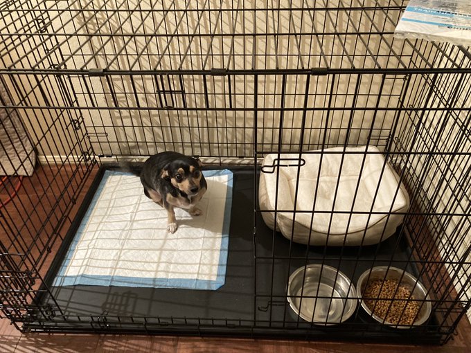Babies home and has an mansion 🤣🤷🏼&zwj;♀️ https://t.co/6dqfnj5wuS<a href="/tag/dakotaskye"class="tags"><span>#dakotaskye</span></a><a href="/tag/dakotaskyeanal"class="tags"><span>#dakotaskyeanal</span></a>