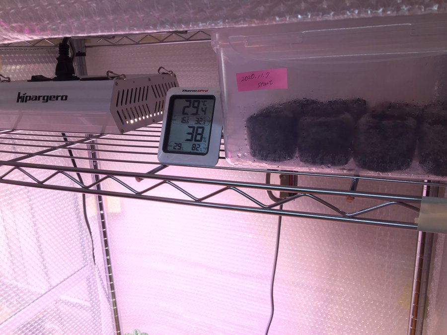 スチールラック簡易温室の作り方 植物の冬の寒さ対策で安く温室を作る方法 金成コーデックス