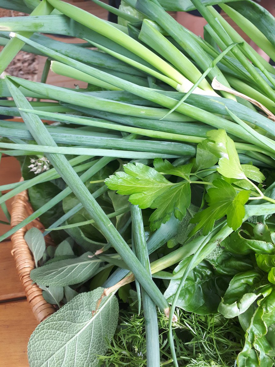 CGurney_edu's tweet photo. Our first harvest from the Community Garden. So proud to donate our produce to the Bill Crews Foundation. #BillCrews #communitygarden #NSWEducation
@AshfieldPS https://t.co/7jVOYWRrp0