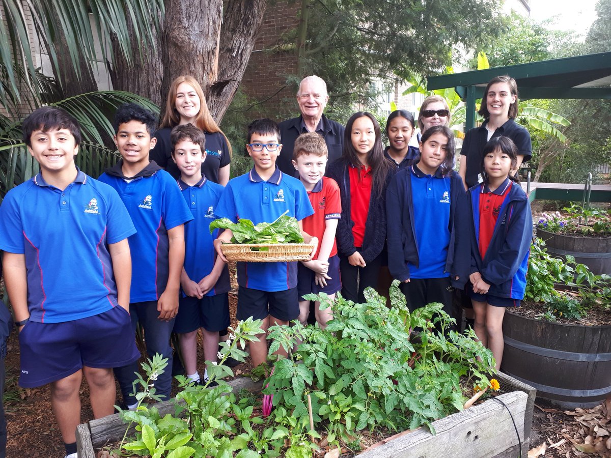 CGurney_edu's tweet photo. Our first harvest from the Community Garden. So proud to donate our produce to the Bill Crews Foundation. #BillCrews #communitygarden #NSWEducation
@AshfieldPS https://t.co/7jVOYWRrp0