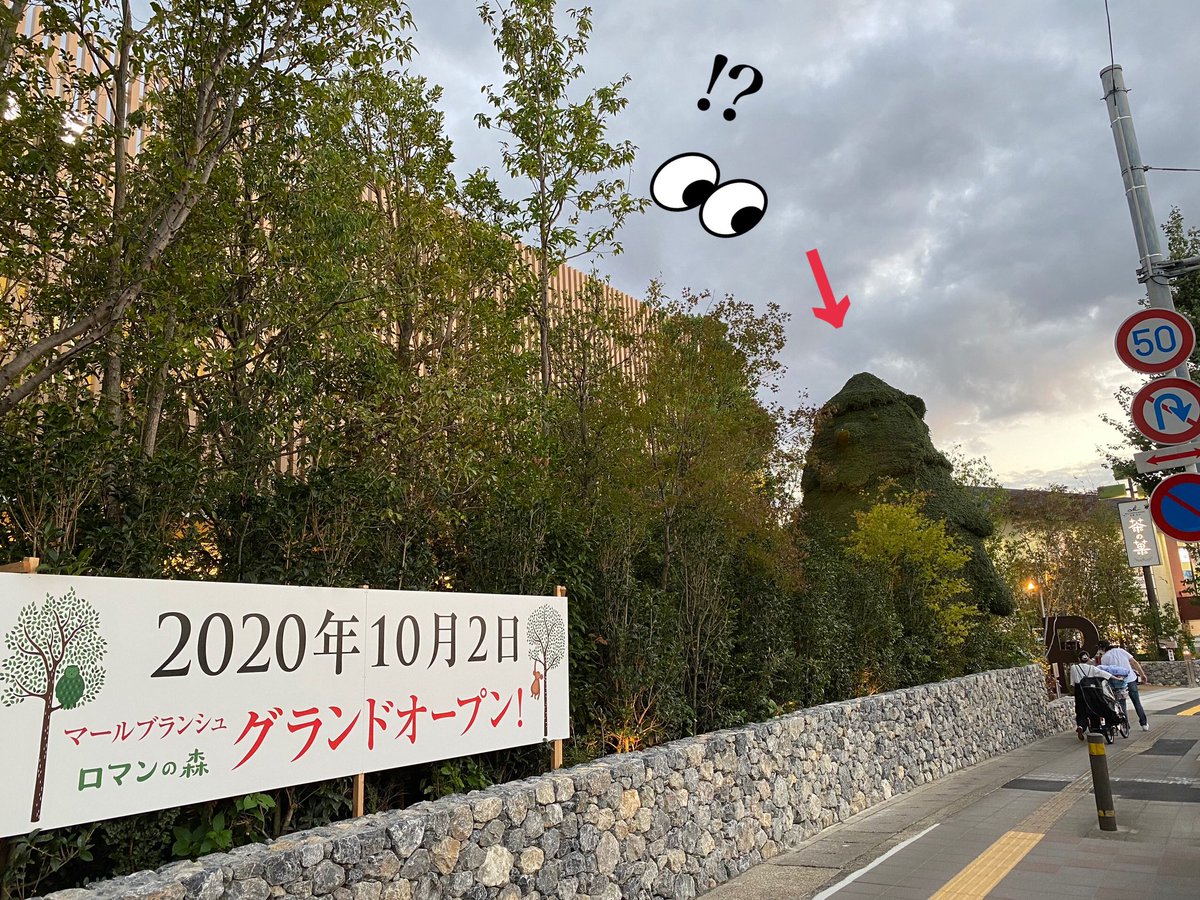 M S Hotel エムズホテル こ これは 約7mの巨大ロマンくんがお出迎え 先月山科でオープンした マールブランシュ ロマンの森です 見た目も美味しいケーキと ロマンくんグッズがいっぱい カフェもお持ち帰りも人気なので 平日か