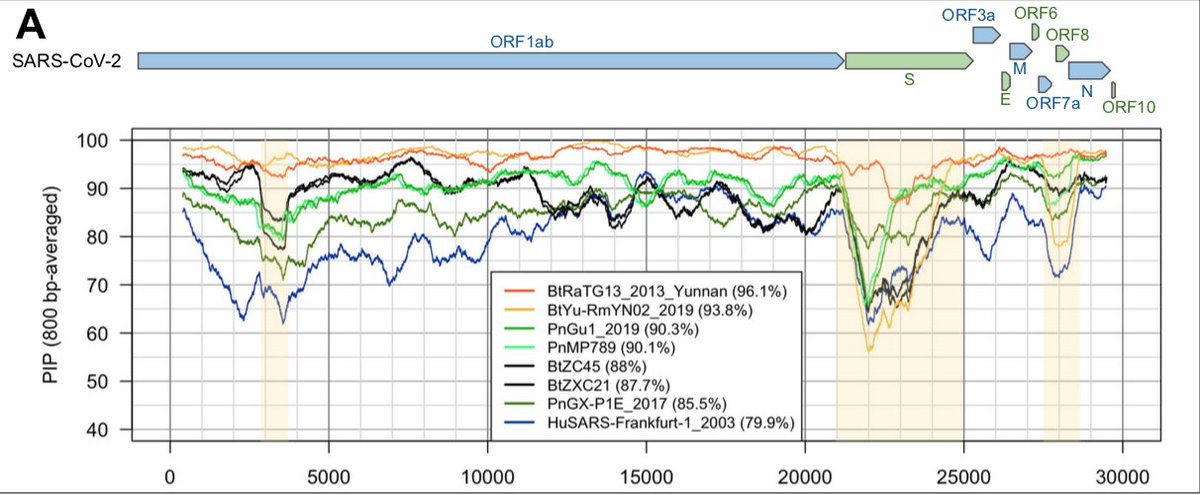 isolated in 2015 and 2017 from bats in the Zhoushan region of eastern China, and whose genomes showed 88% identity with SARS-CoV-2 (R. Lu et al. 2020).
