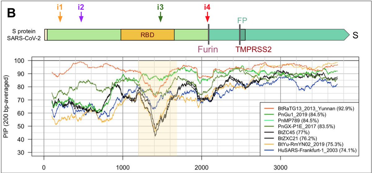 The SARS-CoV-2 genome sequence is more distant from SARS-CoV (79% identity) and MERS-CoV (50% identity), the viruses responsible for the previous human epidemics.