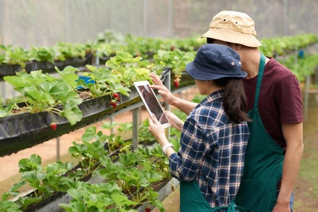 YangBraxter's tweet photo. Blockchain &amp; Food Supply:The #distributedledgertechnology called #blockchain ensures transparency while protecting the privacy of the parties involved.#Digitally-assisted #foodsupplychain would tell the consumers where the item is from, farmers who harvested it &amp; other info. https://t.co/VGeoEiPprt