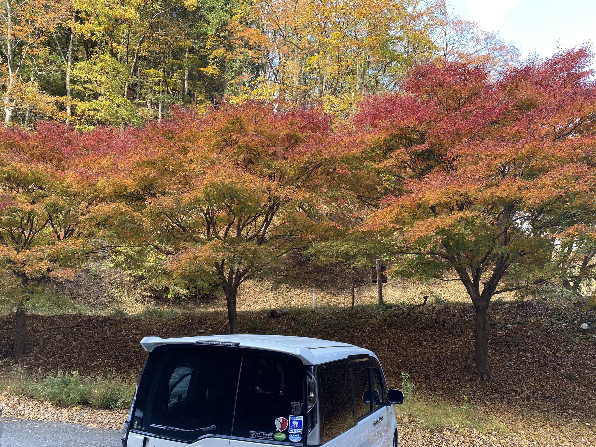ヒカル 日塩もみじライン 紅葉は見頃 12月より無料になるそうです ハンターマウンテン付近は雪でした もみじライン 栃木県 那須塩原 日塩もみじライン 紅葉 T Co Vbaaenq2uf Twitter