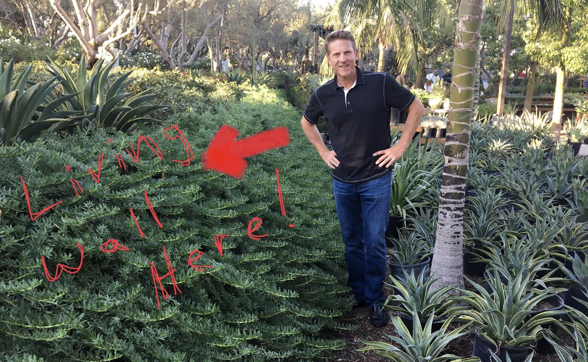GreenWayLRW's tweet photo. Loving the surge in living retaining wall demand. This is what we have been waiting for! #livingwalls #retainingwalls #greenway https://t.co/LdgDSmEXUH