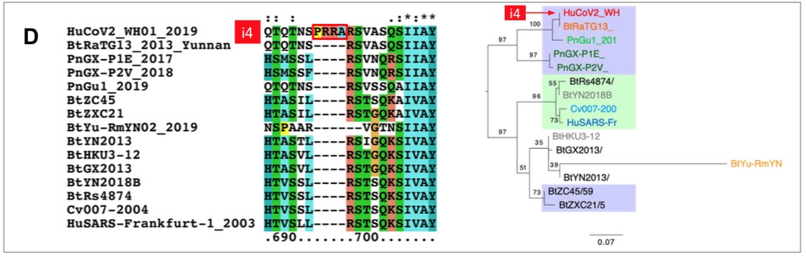which had been sequenced from isolates collected from a mine shaft in Yunnan Province following the death of 3 miners from an atypical pneumonia (Ge et al. 2016).