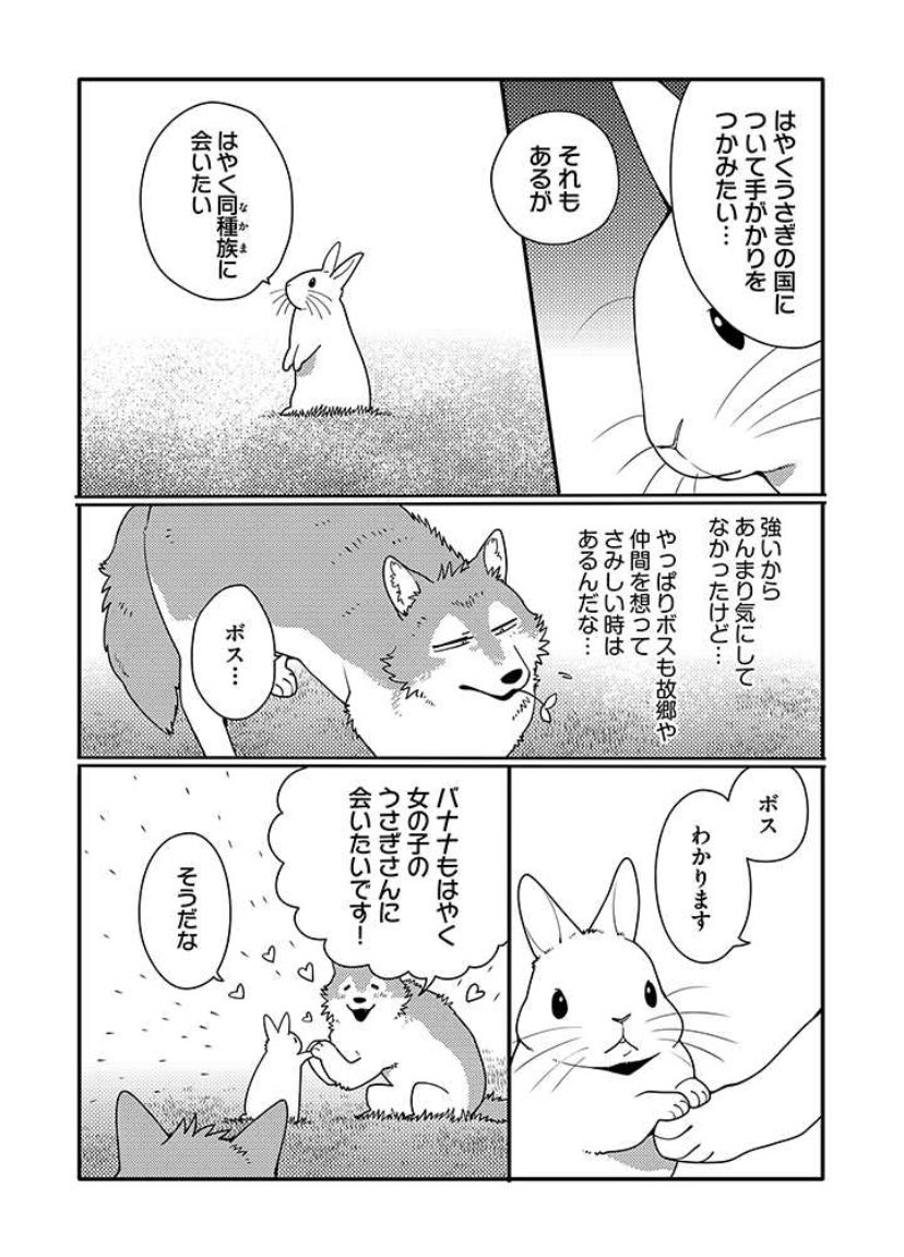 うさぎは正義108話更新されました
https://t.co/xUaPNYNnxT 