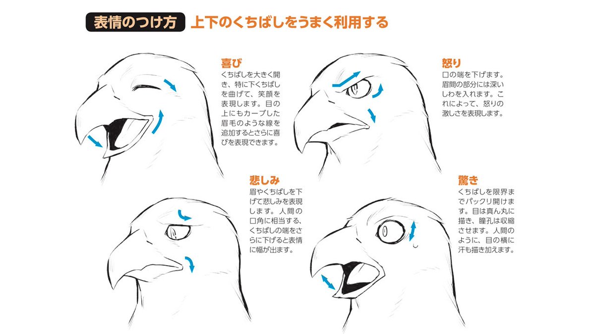 玄光社 超描けるシリーズ Na Twitteru 超描ネタ帳 鳥のキャラクターの表情の描き分けポイントは くちばし 人間における口角と同じようにくちばしの上げ下げで描き分けていきます 獣人の描き方 より T Co Asuwou9pbb 超描ネタ帳 玄光社 超描けるシリーズ Na Twitteru 超描ネタ帳 鳥のキャラクターの表情の描き分けポイントは くちばし 人間における口角と同じようにくちばしの上げ下げで描き分けていきます 獣人の描き方 より T Co Asuwou9pbb 超描ネタ帳