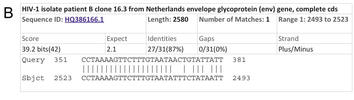 However, on the remaining third of the genome it diverges quite strongly, especially at the level of the S1 protein and ORF 8 (​Figure 2​) (H. Zhou et al. 2020).