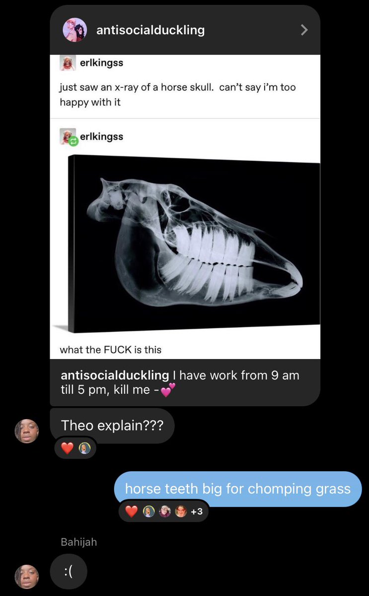 continuing so i don’t lose the thread