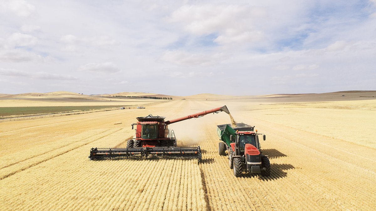 ramsey_bros's tweet image. Simple checks to improve yield monitoring at the start of the season: Test the YIELD MONITOR operation. Calibrate the FLOW SENSOR. Calibrate the MOISTURE SENSOR. Check the HEIGHT SWITCH is set up + working correctly. bit.ly/3l49d8Q  #TechTuesday #IntegratedTechnologies