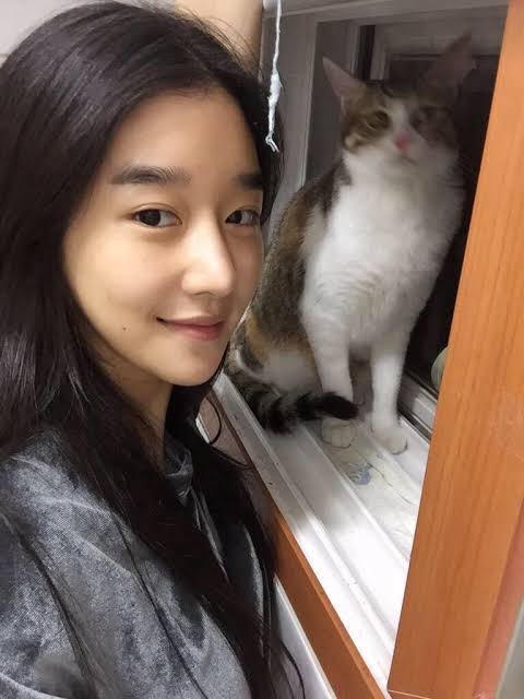 here’s another pic of yeaji w a cat ><