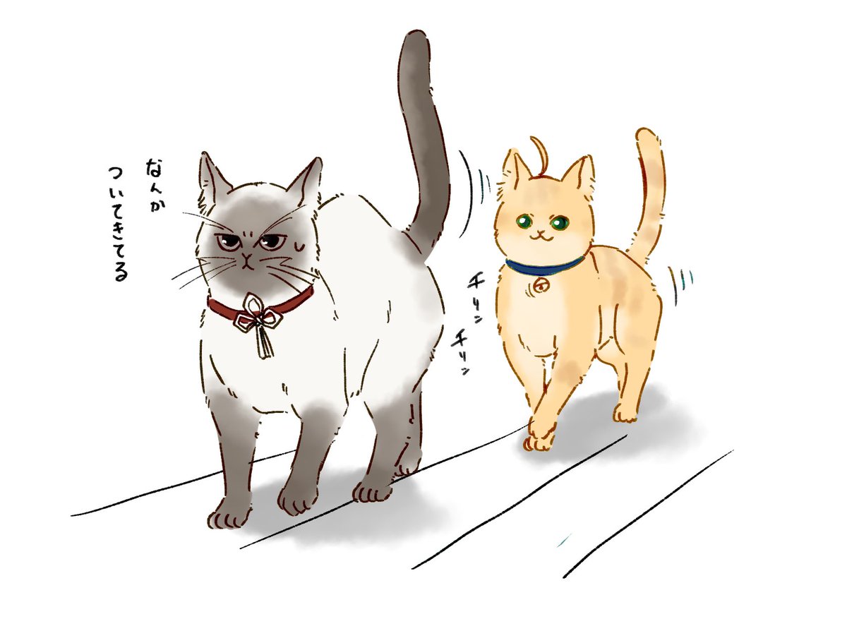 y_udumi's tweet photo. 弓剣雑多らくがき（現パロ/🐈/弁当屋弓と常連社会人剣） https://t.co/uTLKQn2V71