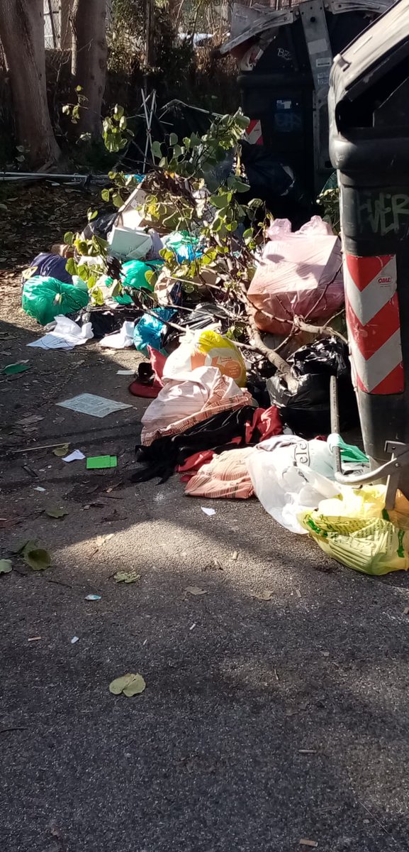 bicim1234's tweet photo. @b_biraghi @Lavoratori_Ama @comuneroma @virginiaraggi @PLRomaCapitale @amaromacapitale E vai si ricomincia? https://t.co/xOWnoOUTkx