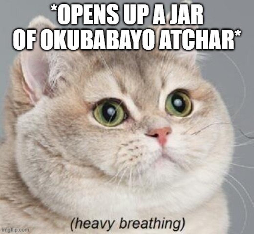 okubabayo's tweet photo. Our Atchar is mouth-watering delicious πΆοΈ
β: +27 10 312 5004
π§: info@okubabayo.co.za
π: https://t.co/bbM4jzQUHI
π‘: Unit 17 Nicholls Park, 19 Nicholls Street, Chamdor, South Africa, 1754
#AtcharGuys #Mango #Atchar #goodfood #spicy https://t.co/RxBIALQY8M
