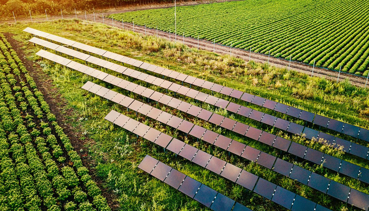 StatkraftAS's tweet photo. Årets #klimabarometer viser at det norske folk har troen på #solkraft – 87 % er positive til denne kraftkilden. Det er vi i Statkraft også! ☀️ I vårt #Lavutslippsscenario blir solkraft den største kilden til kraftproduksjon allerede fra 2035. Lær mer her: https://t.co/0D5C9P1AOK https://t.co/bvMhfjx53p
