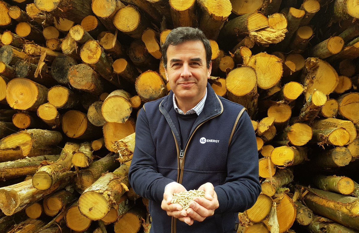 BioenergyInfo's tweet photo. UK extension of non-domestic RHI scheme welcomed by @TeamUKPC, @biomassworks: https://t.co/Hl0TFhPnYt @beisgovuk #biomass #bioenergy #biomassheat #renewableheat https://t.co/sdkr7wDVgZ