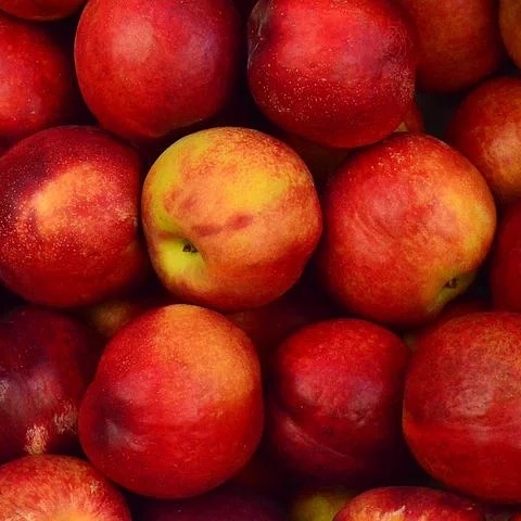 Fooddares1's tweet photo. https://t.co/0hMrMdj5Xh