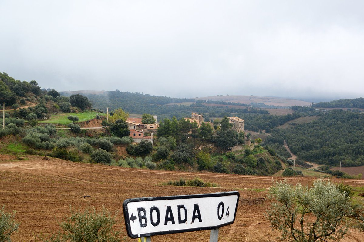 Boada3's tweet image. Boada 0,4. Foto: @FolchPere 
#Boada #Catalunya.