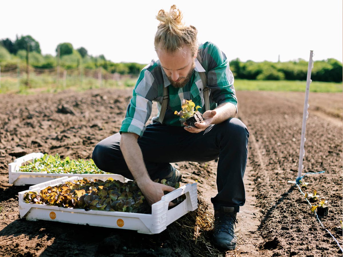 Bayer4CropsES's tweet photo. 🧑🌾 En España hay un #agricultor joven por cada veinte agricultores mayores de 55 años. ¿A qué se debe este envejecimiento de la actividad agraria y cómo podemos ralentizarlo?
La respuesta en el #BlogBayer 👇
https://t.co/efC0wLx3xp https://t.co/O1aGVIY4Wm