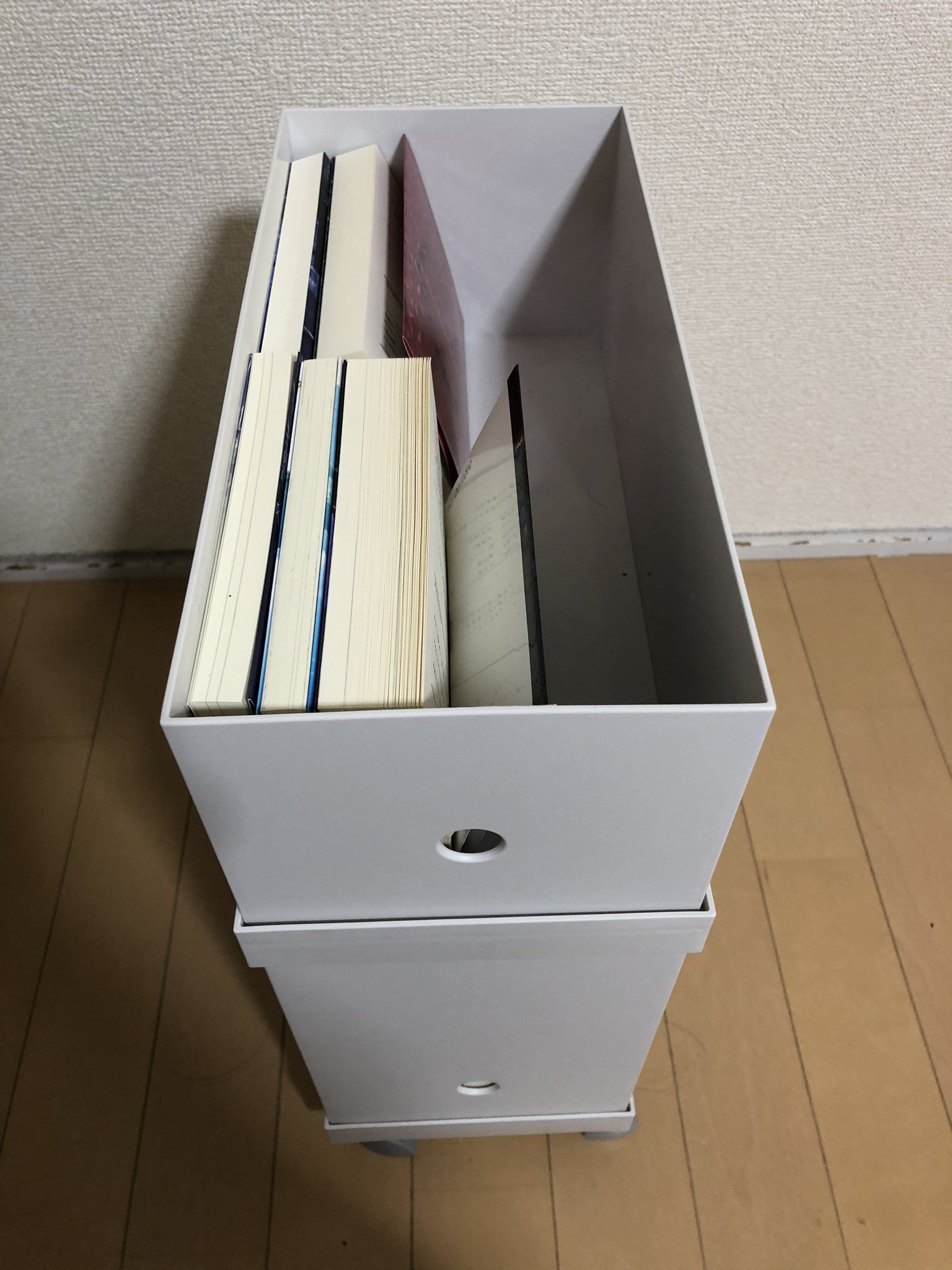 さまんさ ウスイホンをポチろうと思ったけど はて コレは以前ポチッた となったので 自宅のウスイホンを確認してたら何かに火が付いて 無印のファイルボックス スタンダード幅25 の2段重ね キャスター付きの収納へ 既読本を下の段 未読の本を上の段