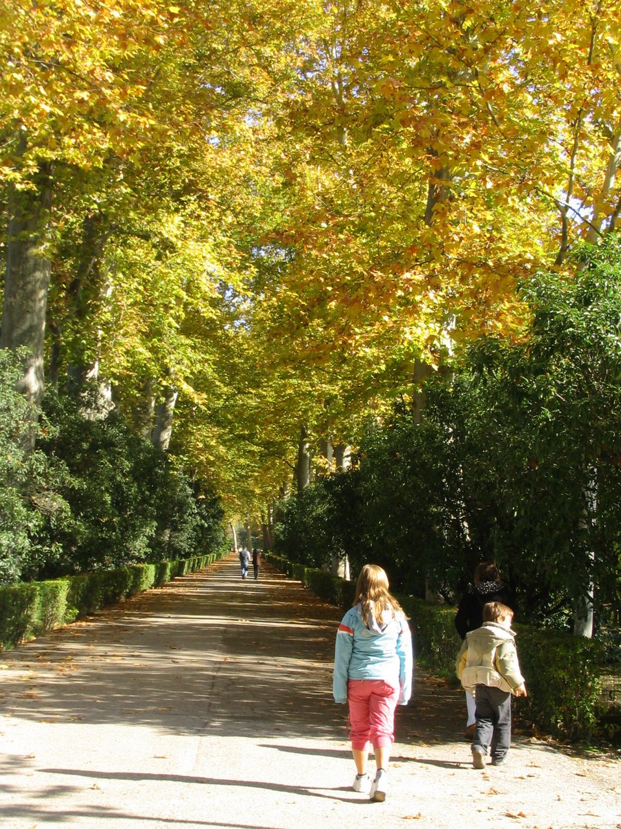 En #otoño, #Aranjuez cobra un aura especial, en el que su belleza se multiplica. Os recomendamos pasear sin rumbo por sus jardines históricos, simplemente admirando la variedad cromática de su naturaleza, del ocre al amarillo y rojo. No defraudará.
#trenesturisticos