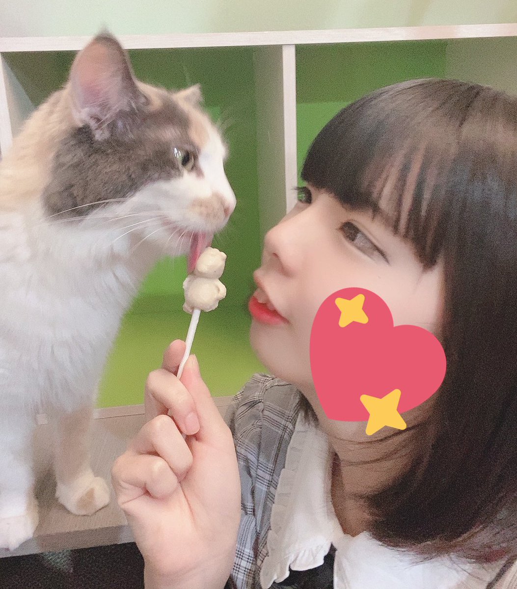指田りさ ふぇあえれ 今日のりさち リク撮まえに1人猫カフェしてきた 猫カフェって一人で行きやすいからすきなの 猫アレルギーだけどねwww
