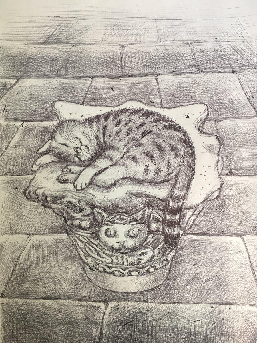 Sleeping Beauty. In memory of Gli. #HagiaSophia #hagiasophiacat