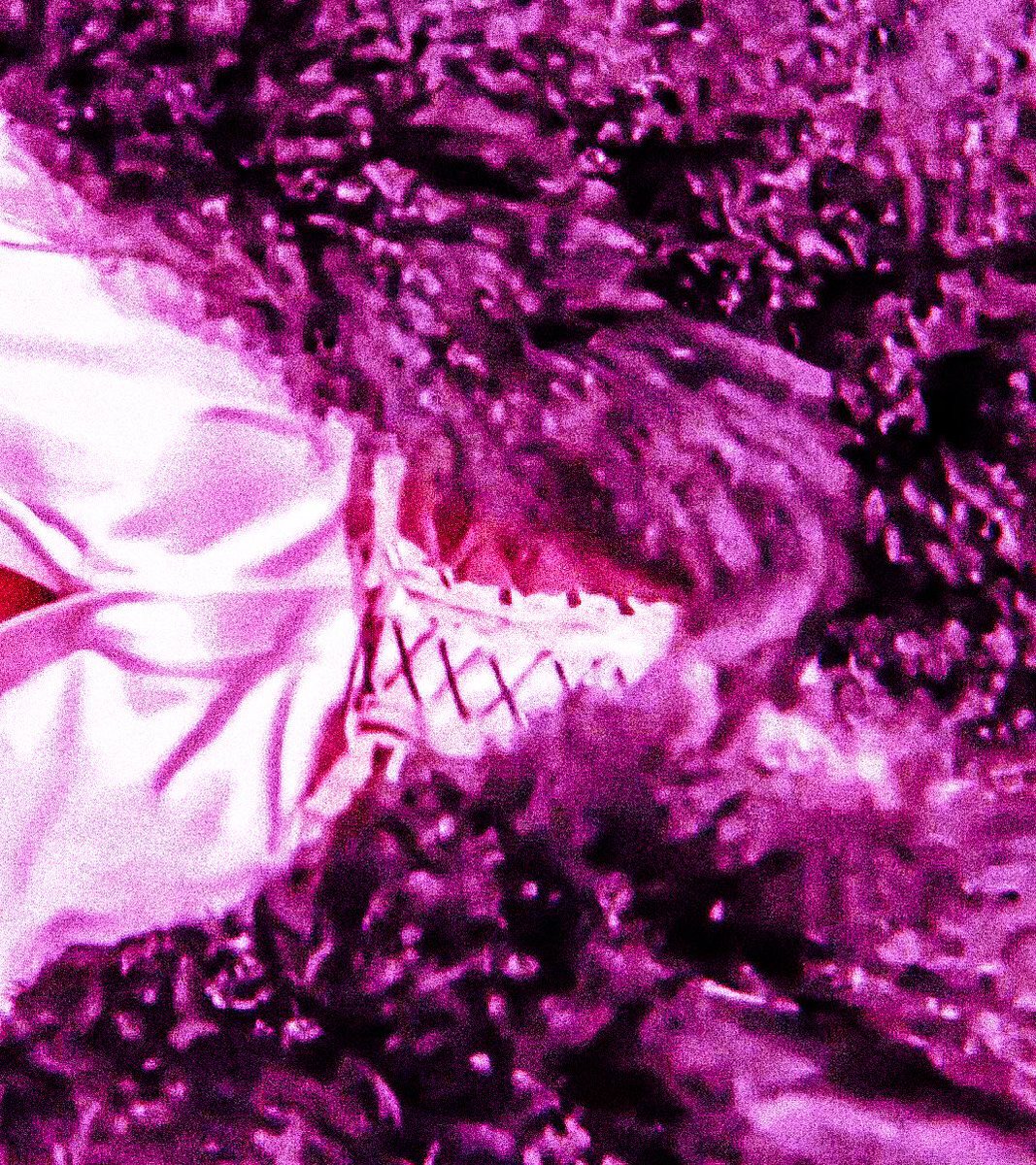 ˙ 𓊪̳ᚐ ( $JN ) /͟ Varesstria 𓈒 ˙ ᚕ𓏸 ลฟตท ᚇ ᚛