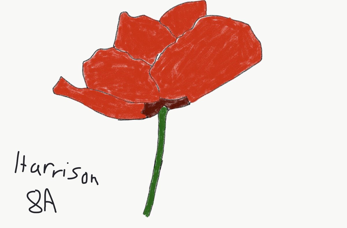 WellfieldMiddle's tweet photo. A few late, but great efforts in the poppy challenge! Well done 8A. #DigitalPoppyChallenge #AppleEduChat #ADE2020 #EveryonecanCreate @MrsHilltoutArt https://t.co/alfqXjjO1i