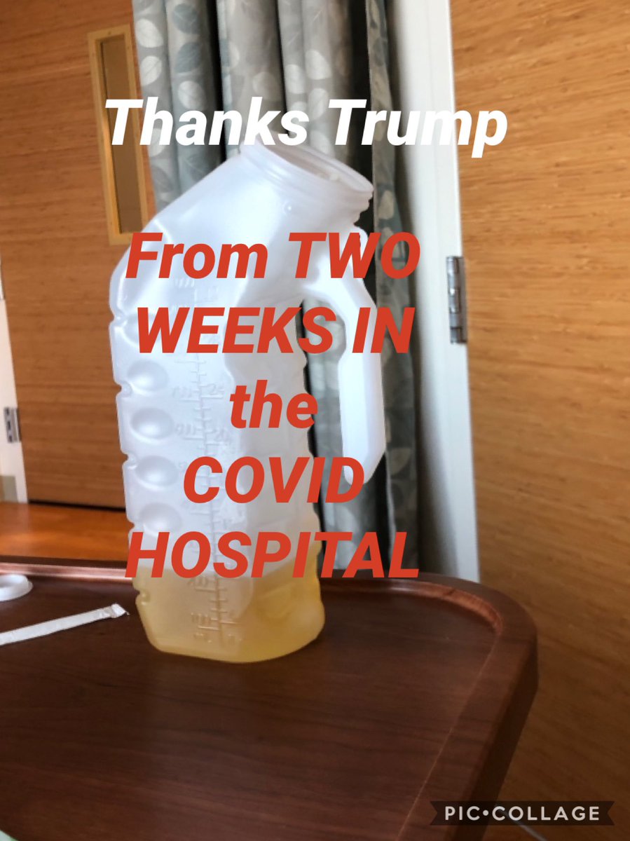 toad1940's tweet image. TRUST ME. NEVER BET ON A WET FART. YOU'll lose.