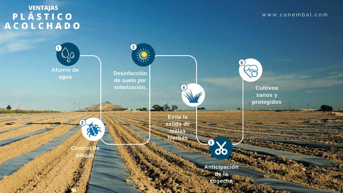 ¿Conoces las ventajas y los beneficios del #PlasticoAcolchado ?

☞ Echa un vistazo a la imagen y conoce más información sobre #SolucionesAgricolas pinchando en el enlace canembal.com/catalogo-produ…

#Cultivo #Agricultura #Agricola #Agro #Packaging #CANEMBAL