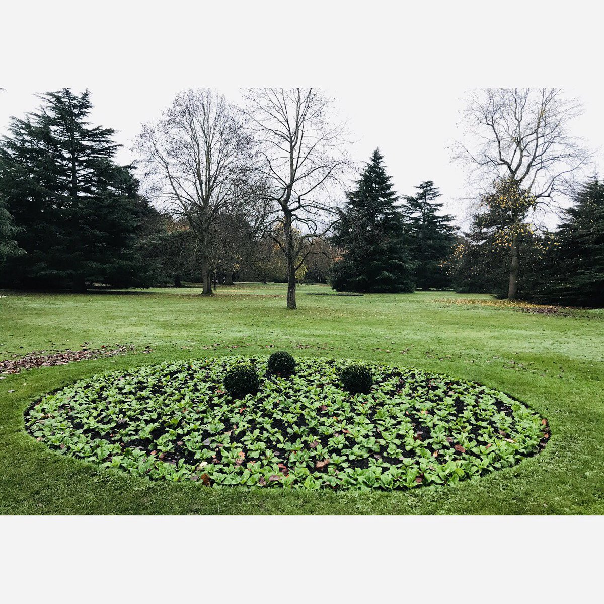 GGSparkes's tweet photo. Our beautiful #greenwichpark π³πππΎπ #jogbeforework https://t.co/2zKffs6R1N