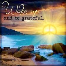 ampmtherapy's tweet photo. It’s not happiness that brings us gratitude . It’s gratitude that brings us happiness. 💫 https://t.co/wwuMznhk4t