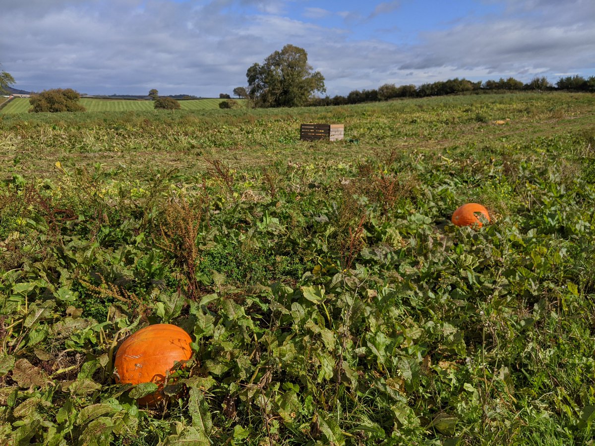 The Children’s Kitchen tweet media