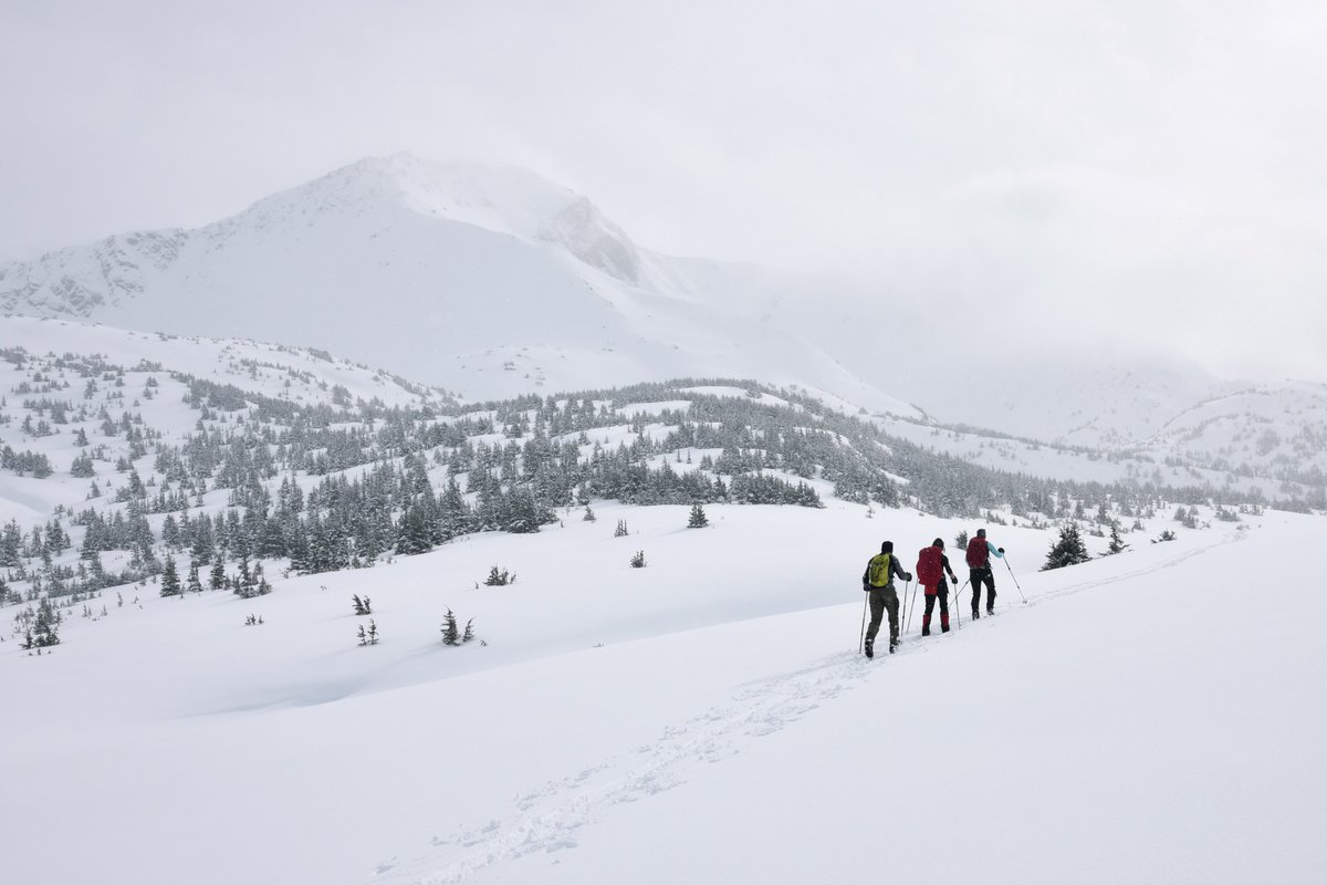 alpconv's tweet photo. On 16 and 17 November, join the discussion on “Outdoor tourism with a view to the future between climate change, sustainability demands and crisis management” organised by #BMU #AllianceintheAlps and #CIPRA within the scope of the #AlpConv!
🌐https://t.co/YxB4sgK4Jy by 10 Nov. https://t.co/XZP6cKA1cB