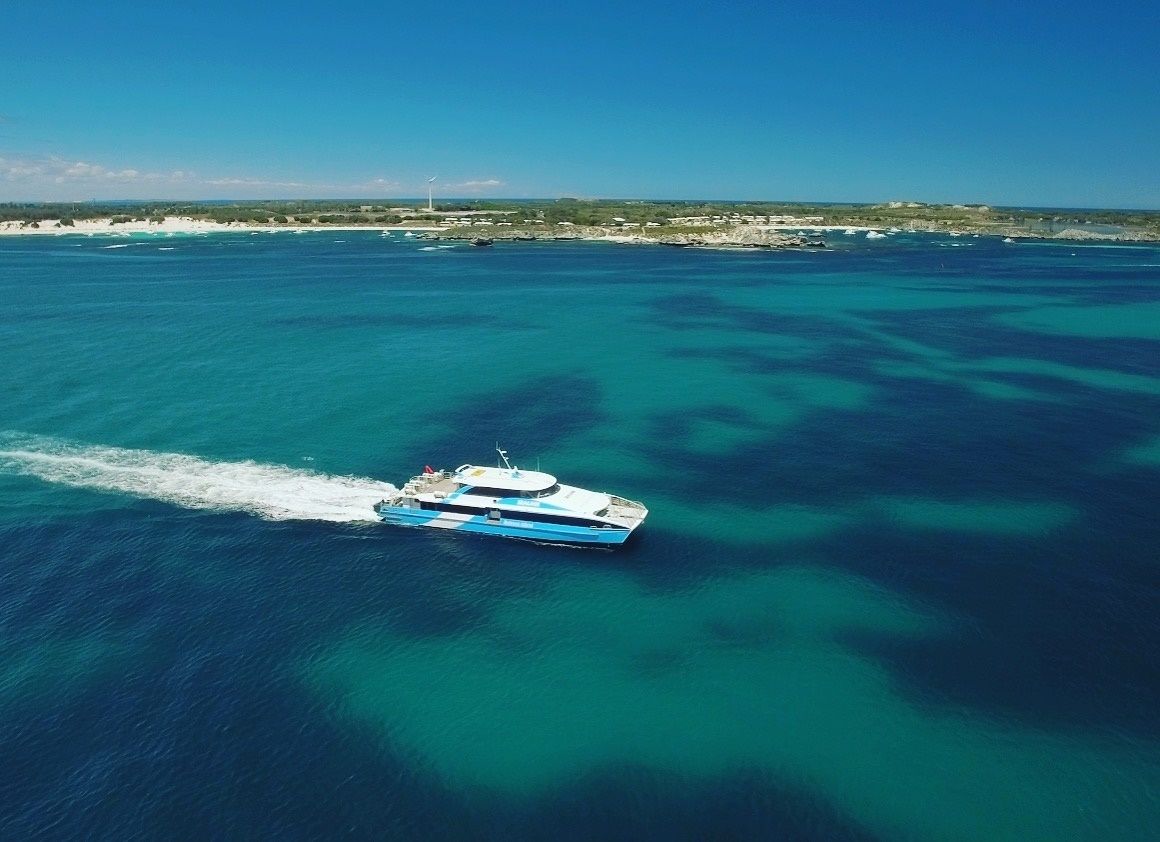 SightseeingPass's tweet photo. 🏖 FUN UNDER $50 🤿
An island escape we can all afford! 

🛥 1. Ferry to Rotto = $49 adults + kids under 12yrs FREE.
🚂 2. Oliver Hill Train &amp; Tunnel Tour = $29 + kids $16.50. 
🐻🤳 3. Quokka selfie = FREE.
Link: https://t.co/RP6AnvEHJd
#rottnestisland #perth #wanderoutyonder https://t.co/0u8wNA92sR