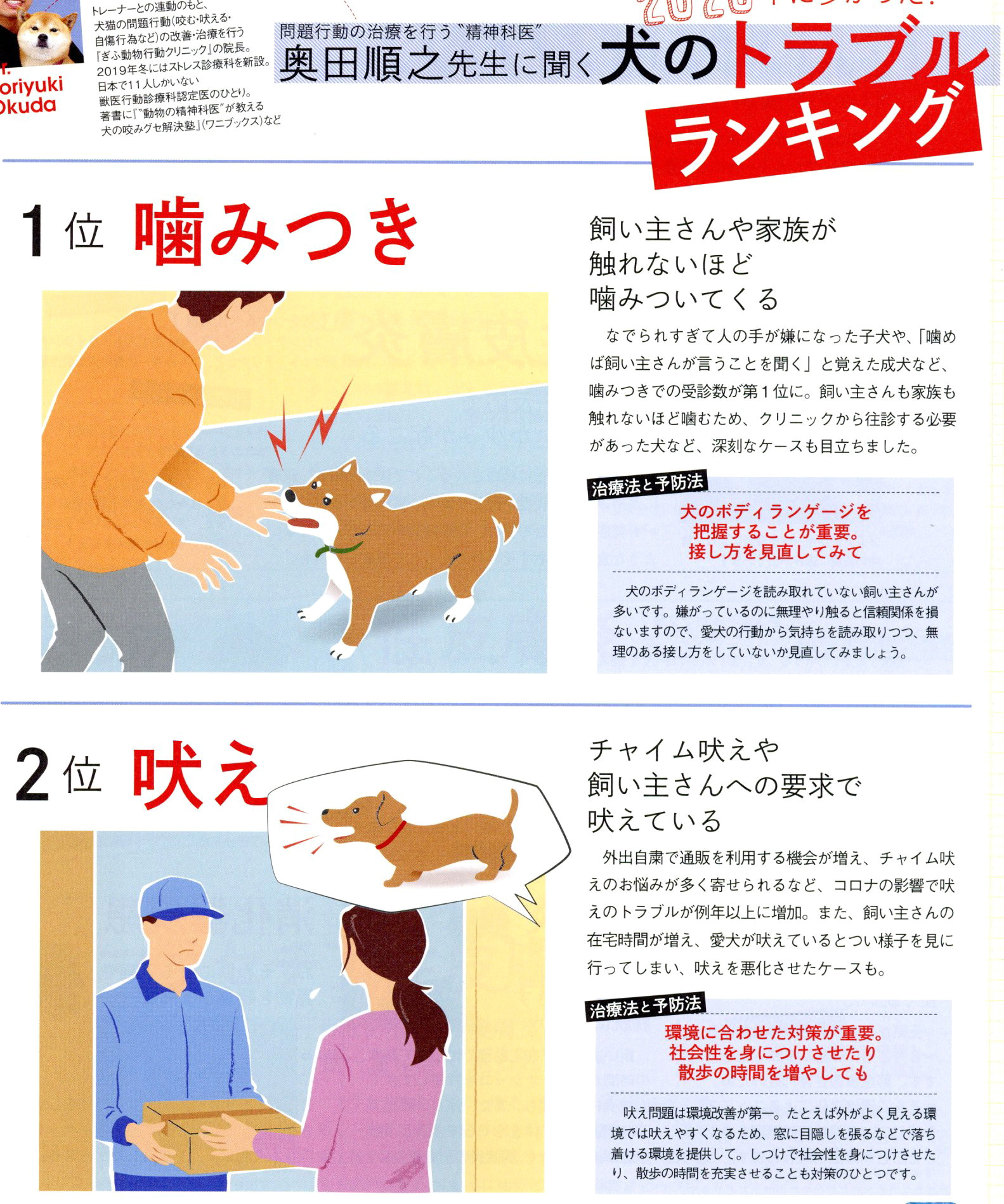 林 よしえ イラスト 絵本 いぬのきもち 12月号 犬の病気 トラブルランキング特集のイラストを描きました その1 いぬのきもち 犬イラスト T Co Lwdgo7hxwf Twitter