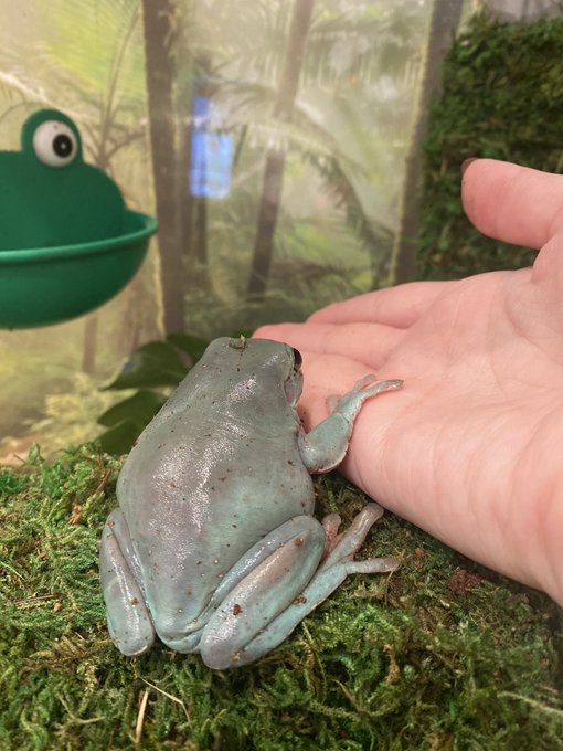 Fren. https://t.co/OnP5wCp4O9