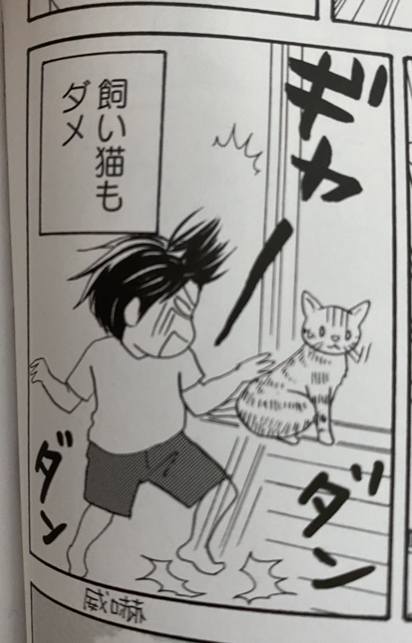 二ノ宮知子 アレルギー検査をした次男 本当に猫アレルギーだった 小さい頃から猫嫌いだったのには本能が 二ノ宮知子 アレルギー検査をした次男 本当に猫アレルギーだった 小さい頃から猫嫌いだったのには本能が