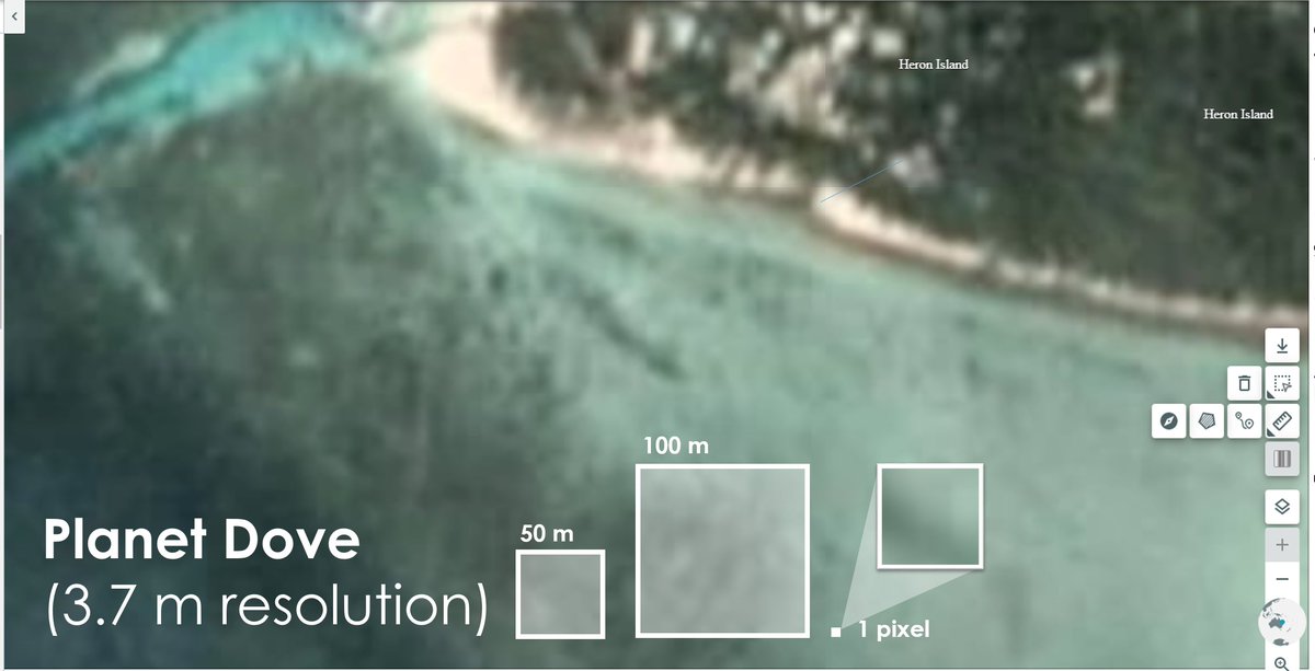 reef_scientist's tweet photo. What's in a Pixel?! For our @AllenCoralAtlas #coral #reef #mapping work it can be helpful for our @UQ_sees team of mappers to visualise the area we're seeing when we're looking at @planetlabs Dove satellite 3.7m #pixel imagery! Superfun exercise run by Project PI @ChrisRoelfsema. https://t.co/zGnik9mIbp