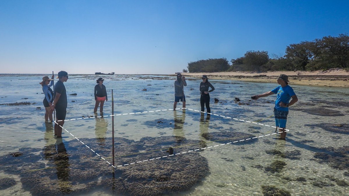 reef_scientist's tweet photo. What's in a Pixel?! For our @AllenCoralAtlas #coral #reef #mapping work it can be helpful for our @UQ_sees team of mappers to visualise the area we're seeing when we're looking at @planetlabs Dove satellite 3.7m #pixel imagery! Superfun exercise run by Project PI @ChrisRoelfsema. https://t.co/zGnik9mIbp