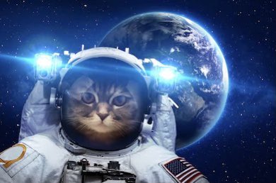 Thanks to all of you who follow me and don’t say this manipulative garbage for being cool space cats. That’s all.6/6