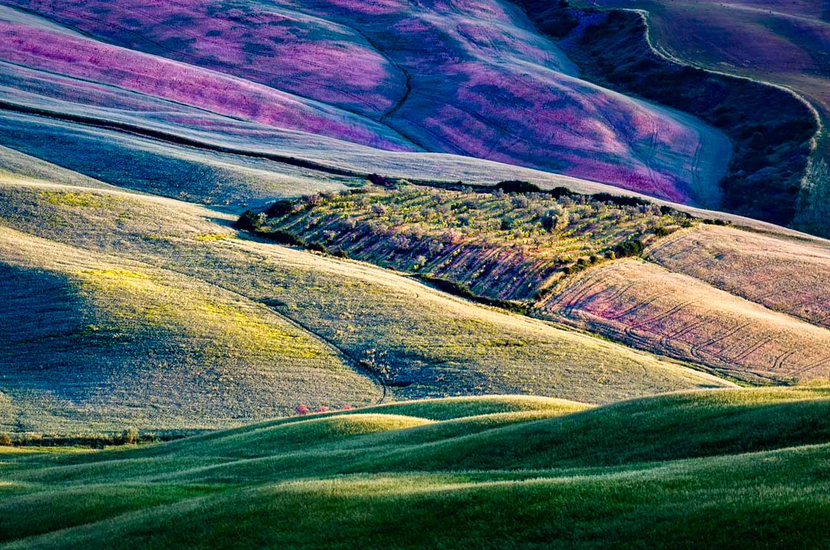 Patch

photosontheroad.eu

#toscana #besttoscanapics #toscana_cartoline #tuscany #visittuscany #discovertuscany #tuscanybuzz #tuscanyexperience #tuscanylandscape #shareyourtuscany #cretesenesi #cretesenesilandscape #cretesenesiview #cretesenesi