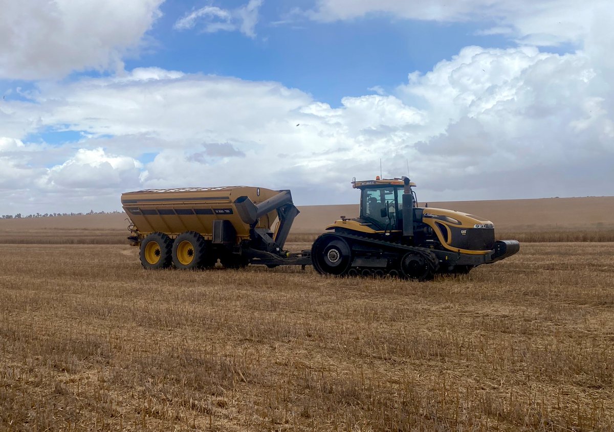 Due to family reasons our chaiser bin driver will not be able  to complete harvest. He’s happy to stay on until suitable replacement is found and trained up. If anyone knows someone that can help out please pass on my phone number 0428 539 399