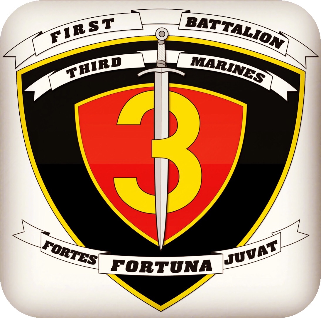 exlimoman's tweet photo. Wishing a very happy 245th birthday to my beloved United States Marine Corps and especially to my brothers and family of 1/3 Weapons Company Dragon Platoon! 🐉 ❤️🇺🇸🦅🌎⚓️🎉🎂🍻 #semperfi #marines #usmc #dragon #weapons #salute #vintage #oldschool #birthday #tradition https://t.co/UU9UVsNgdY