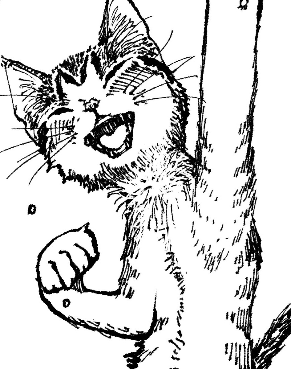 @christi99830943 Dormez beaucoup comme un chat! 