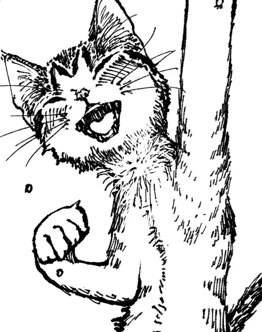 @christi99830943 Dormez beaucoup comme un chat! 
