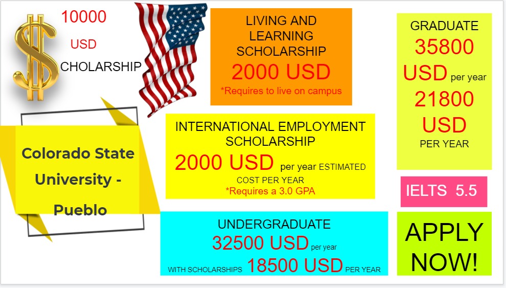 leads edu services tweet media